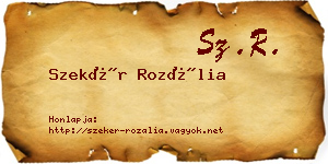 Szekér Rozália névjegykártya